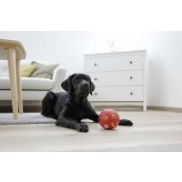 Snackball für Hunde - ø 11cm, rot